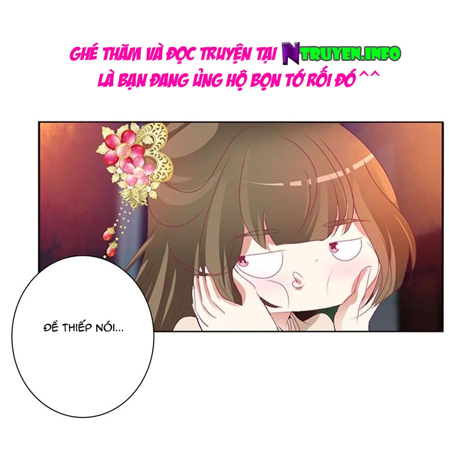 thông linh phi chapter 595 18