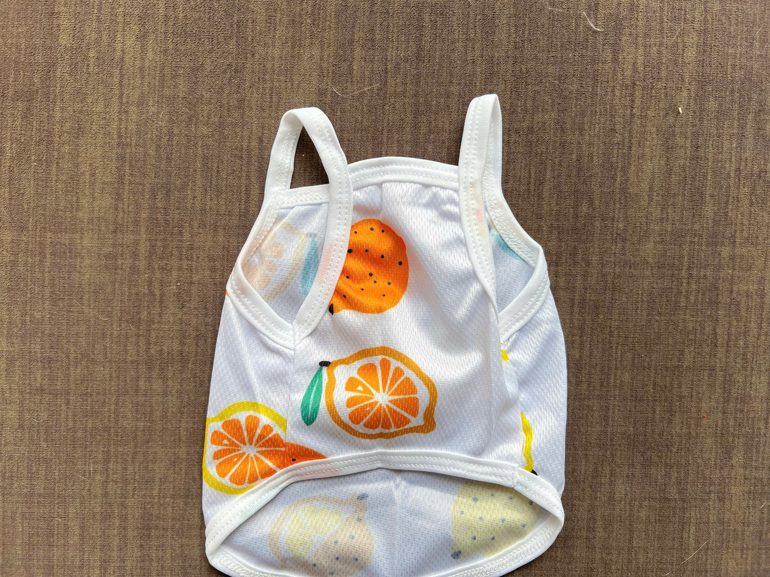 ÁO THUN HAI DÂY TRÁI CÂY THÔNG HƠI SIÊU CUTE TỪ 1-7.5KG DÀNH CHO THÚ CƯNG CHÓ MÈ