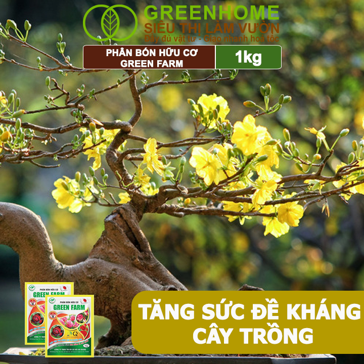Phân Bón Hữu Cơ Green Farm, GreenHome, Gói 1kg, Chuyên Dùng Cho Cây Cảnh, Hoa Hồng