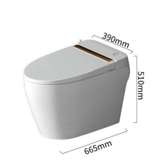 Bồn cầu không két nước có nắp rửa Bidet