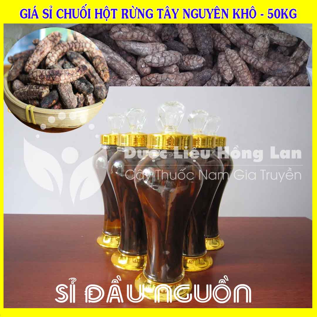 Cung cấp sỉ Chuối Hột Rừng Tây Nguyên khô giá bán 50kg