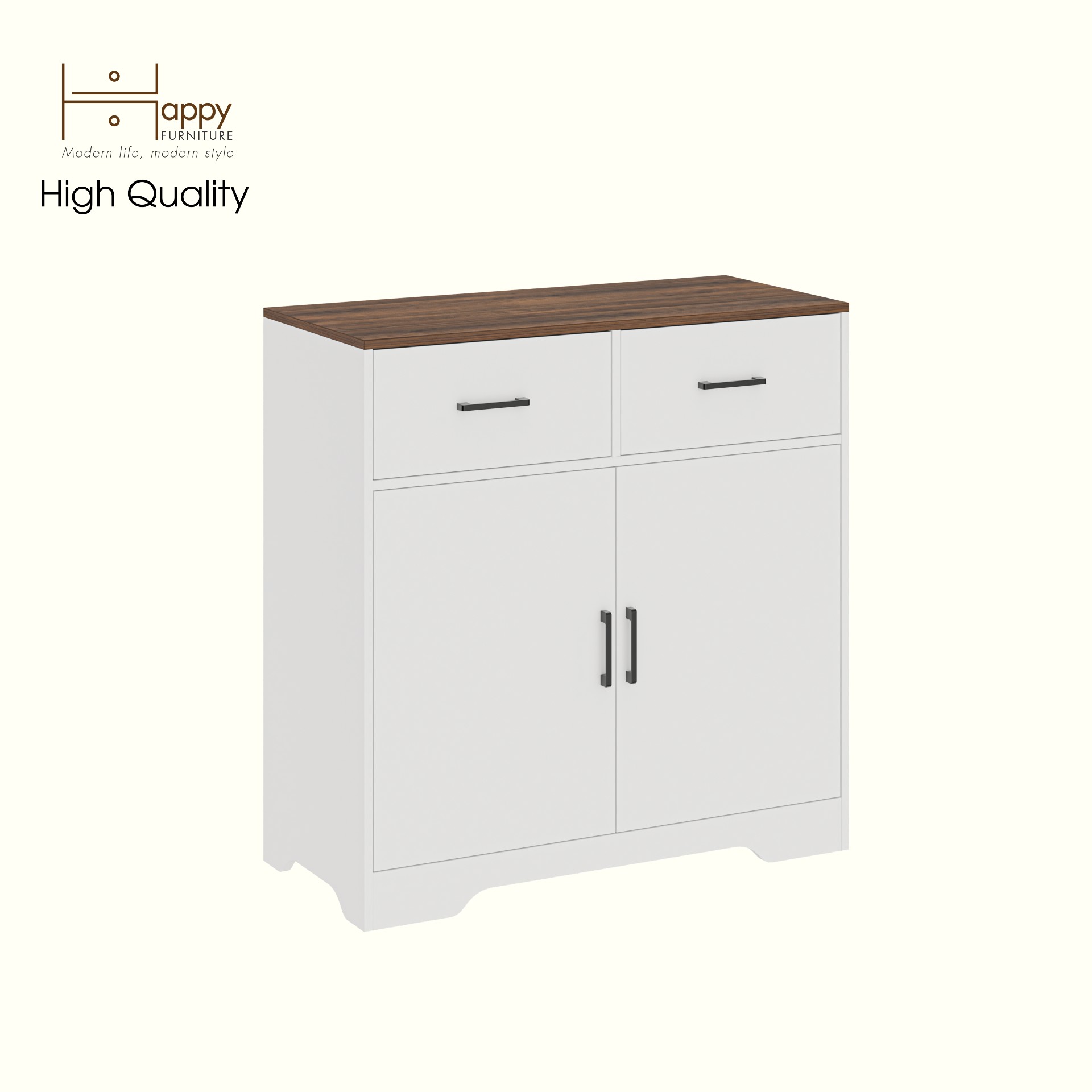 HAPPY FURNITURE , Tủ lưu trữ 2 ngăn kéo 2 cửa mở - SAFA , TLT_068 , 100cm x 45cm x 103cm DxRxC