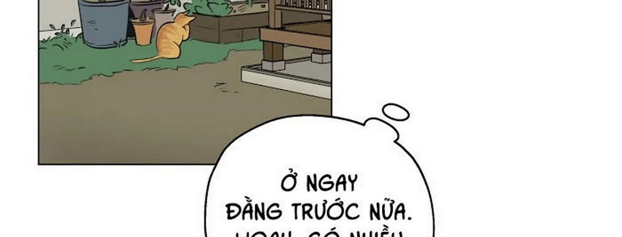 chuyện quái gì với giấc mơ đó vậy chapter 1 96