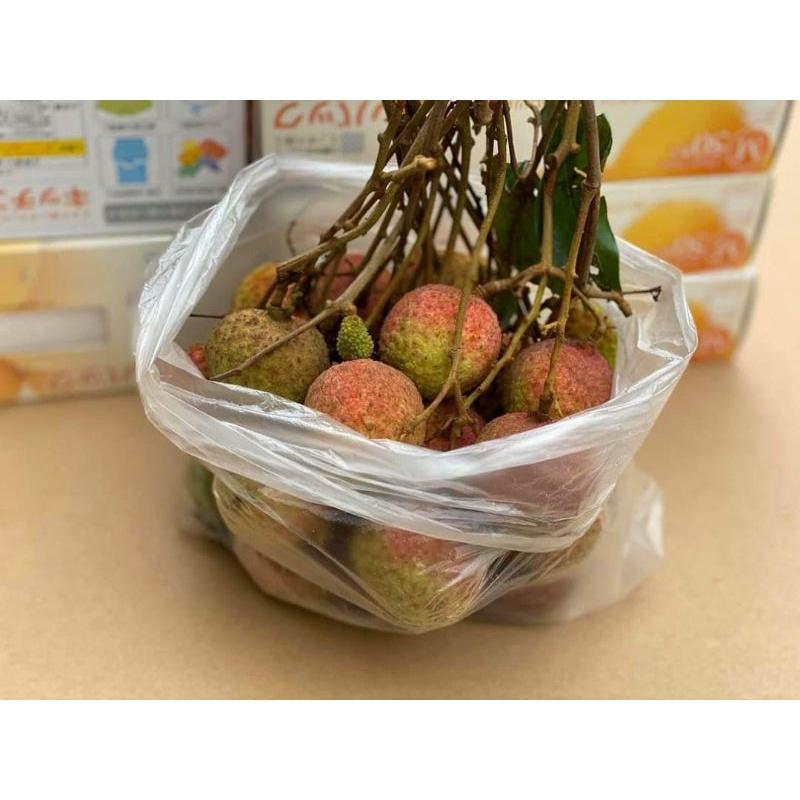 Sét 50 túi nilon đựng thực phẩm Nhật