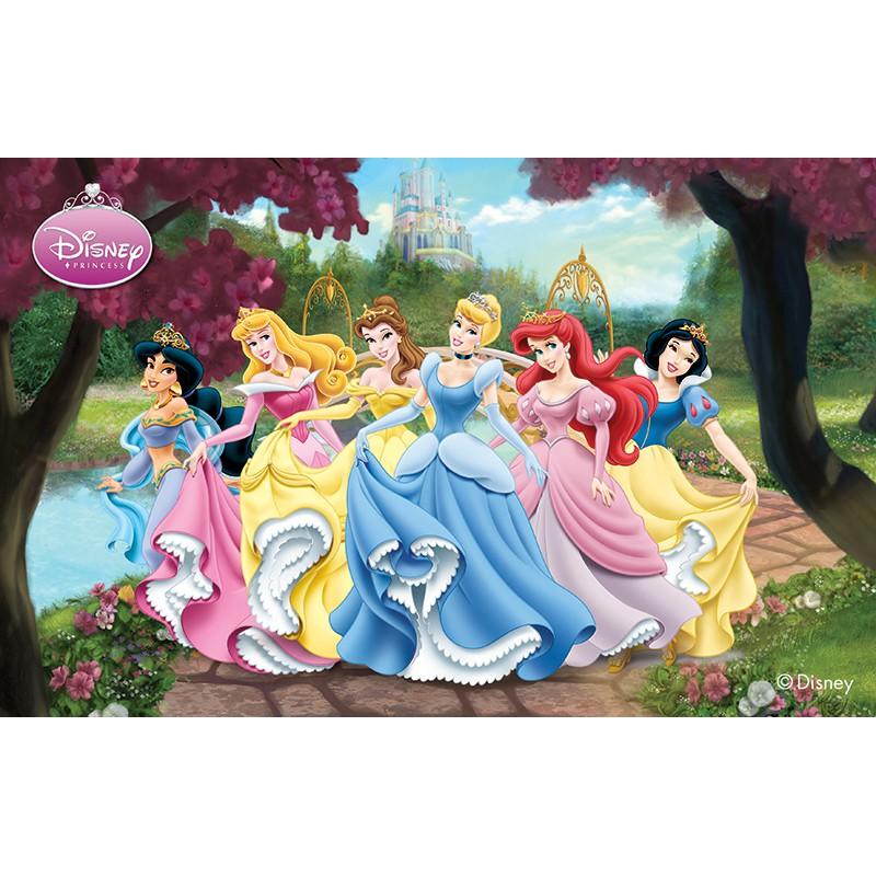 Tranh công chúa HD Disney trang trí phòng bé gái H20171206143327506-tc6 tự chọn mẫu 80 x 50 cm kim sa