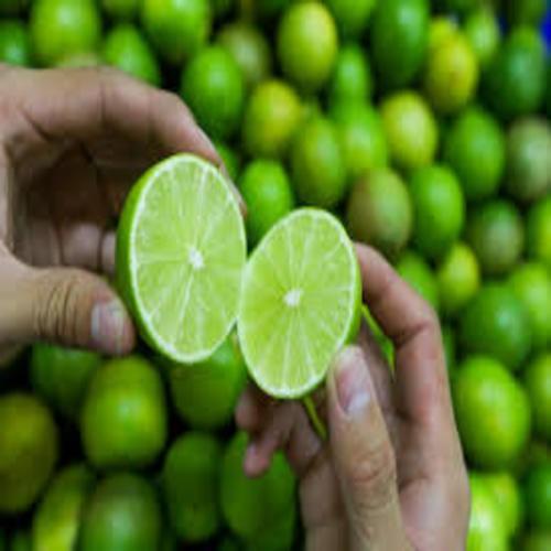 CÂY GIỐNG CHANH KHÔNG HẠT QUẢ CHÙM