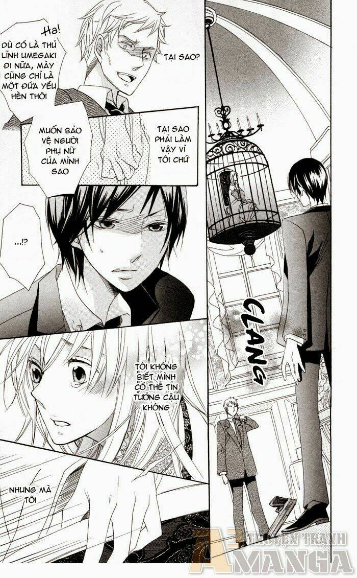 hoa hồng hoang dã chapter 2 28