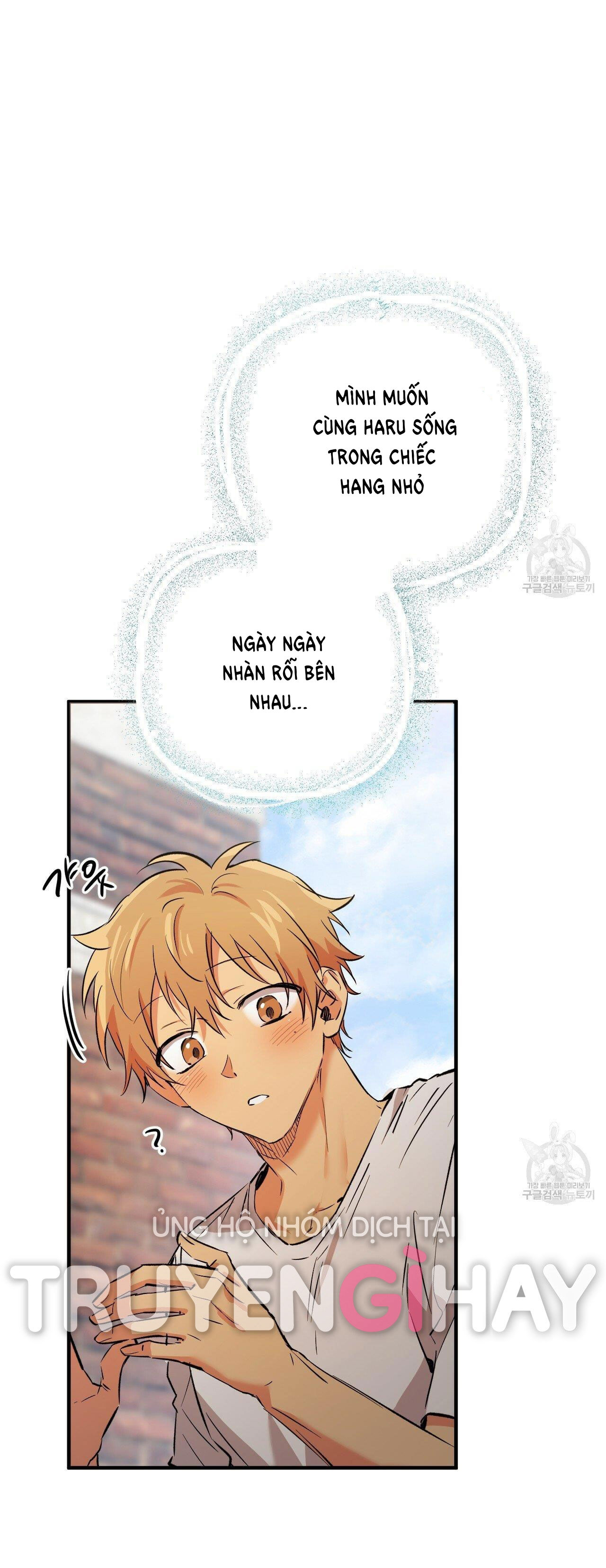 những chú thỏ của hapypy chapter 53.2 2