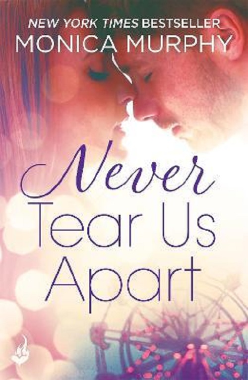 Never Tear Us Apart: Never Series 1