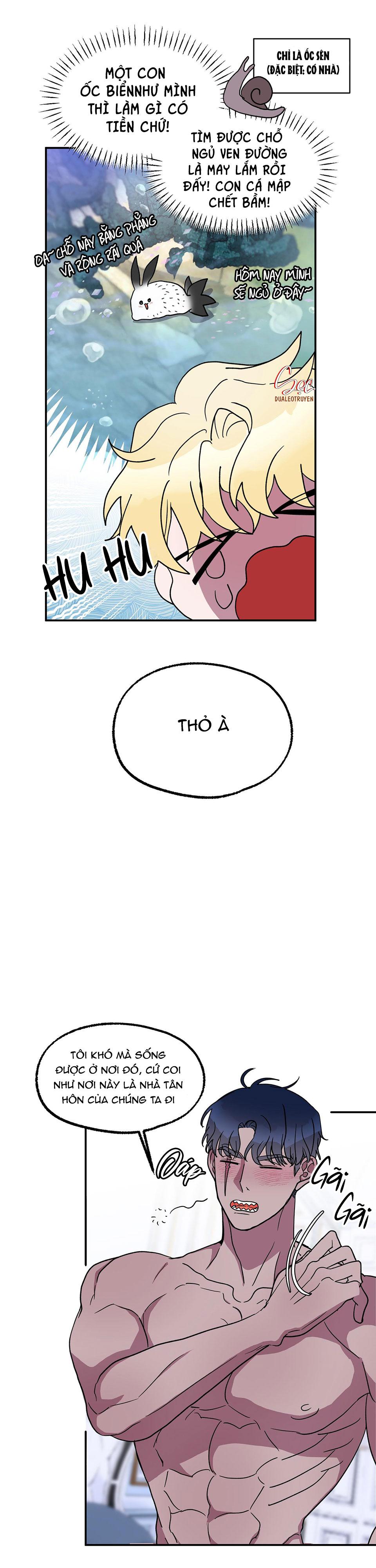 cá mập và cô dâu thỏ chapter 4 11