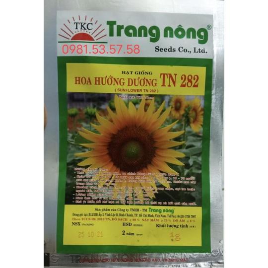 Hạt giống hoa hướng dương siêu bông TN282