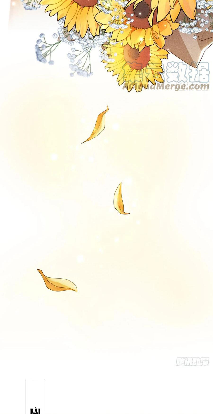 anh ấy gọi tôi là hắc liên hoa chapter 151 15