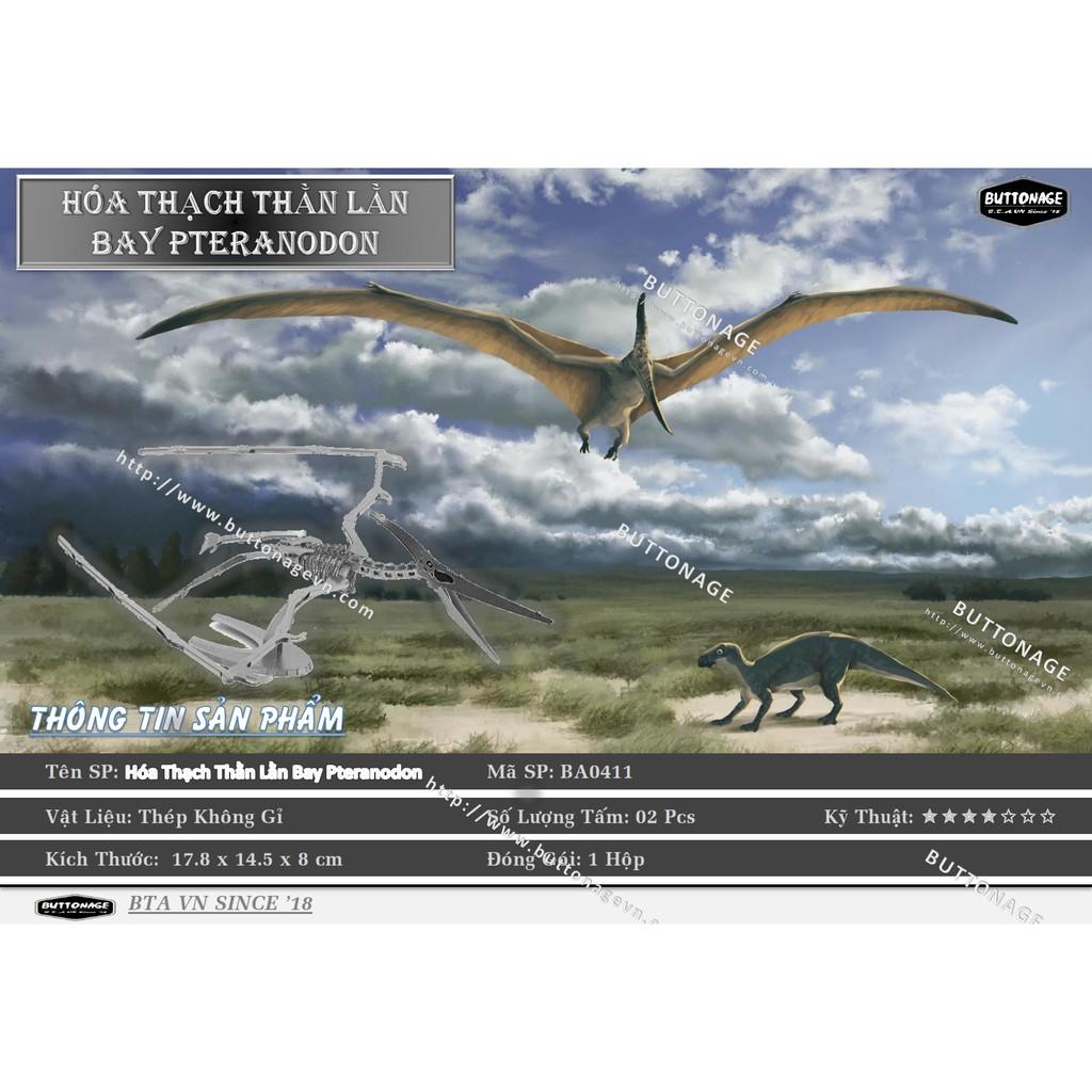 Mô Hình Lắp Ráp 3d Hóa Thạch Thằn Lằn Bay Pteranodon