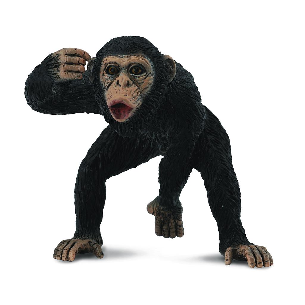 Mô hình thu nhỏ: Tinh Tinh bố - Chimpanzee Male, hiệu: CollectA, mã HS 9651031 - Chất liệu an toàn cho trẻ - Hàng chính hãng