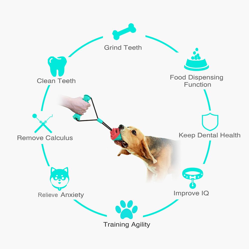 Đồ chơi làm sạch răng cho chó