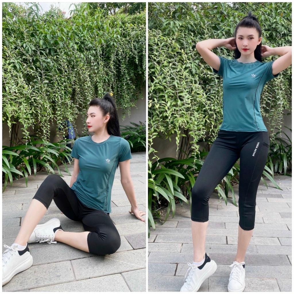 Bộ thể thao áo phông xanh, vàng, nâu tập gym, aerobic, chạy bộ...năng động, gọn dáng