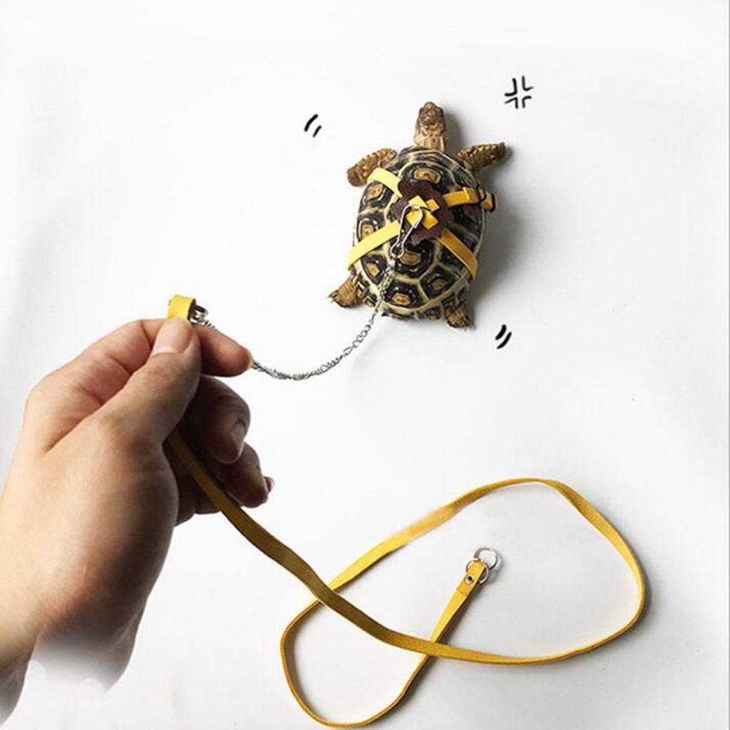 Adjustable Reptile Turtle Harness Leash for Animal