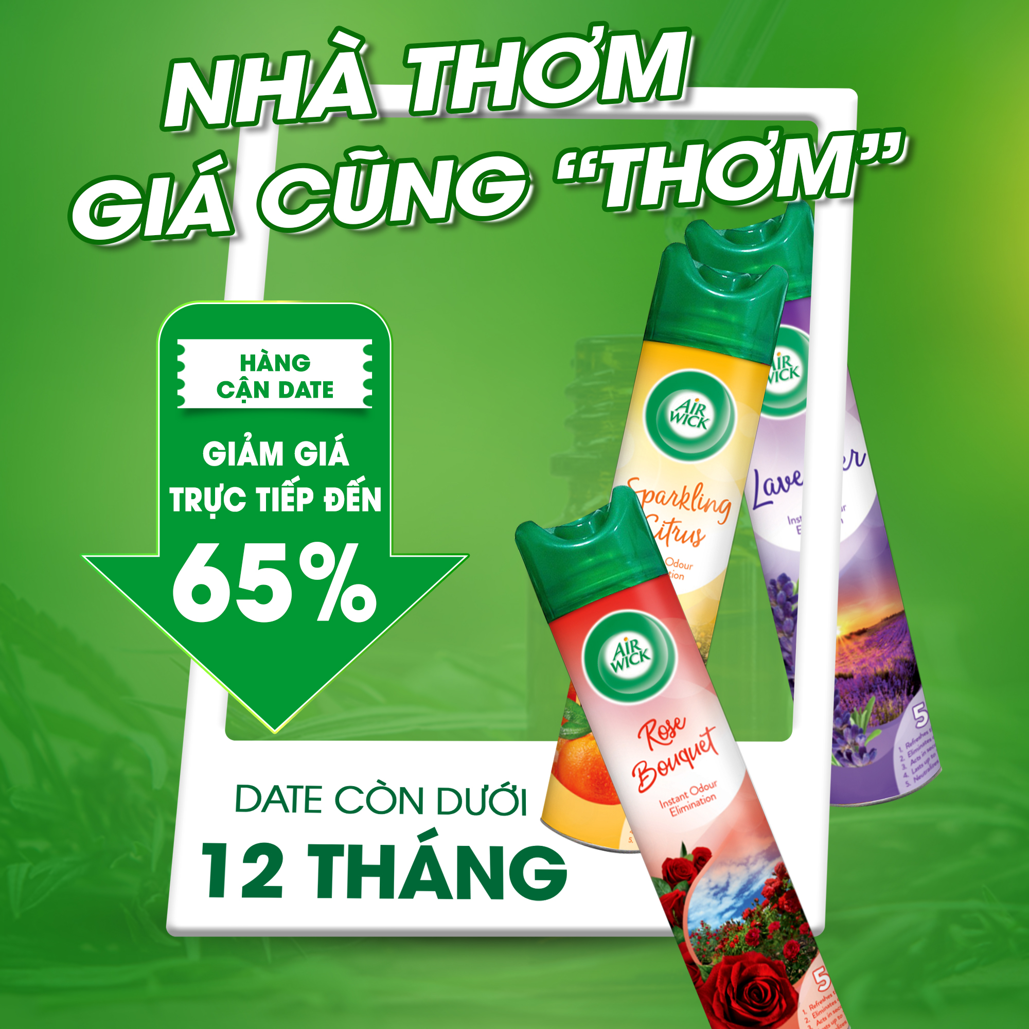 Chai xịt thơm phòng Air Wick (300ml)