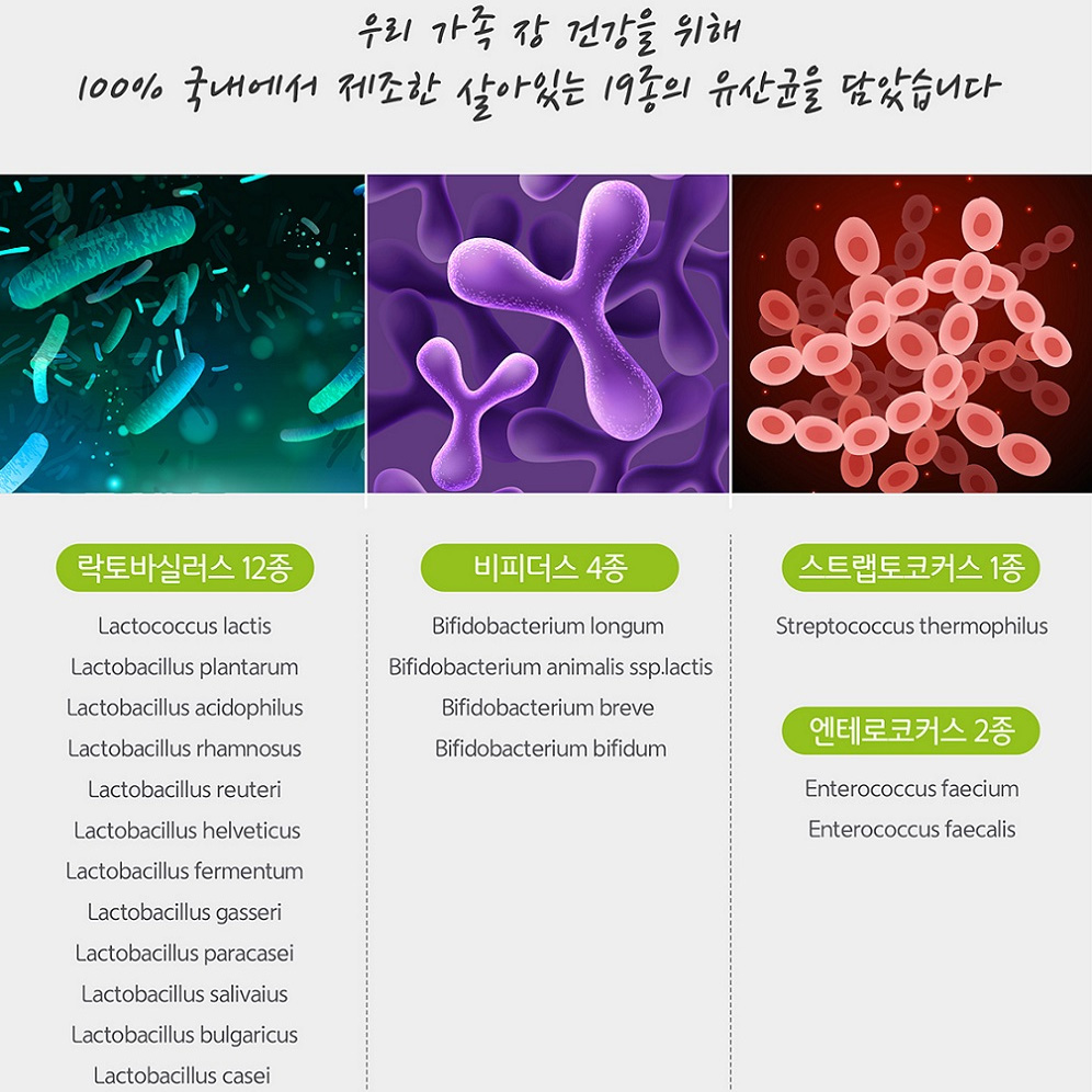 Daesang Wellife / DAILY PROBIOTICS 19