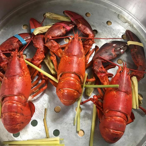 Tôm Hùm Alaska Sống Size 500g