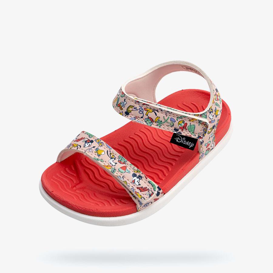 Giày Sandals Bé Gái Native Charley Print  - Dsny Child