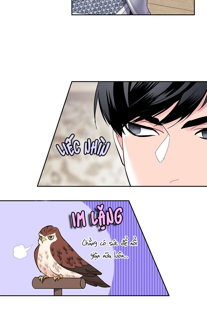 công chúa của loài chim chapter 8 47
