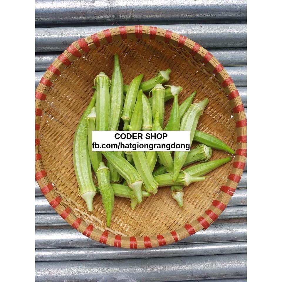 Hạt Giống Đậu Bắp Cao Sản 50Gram