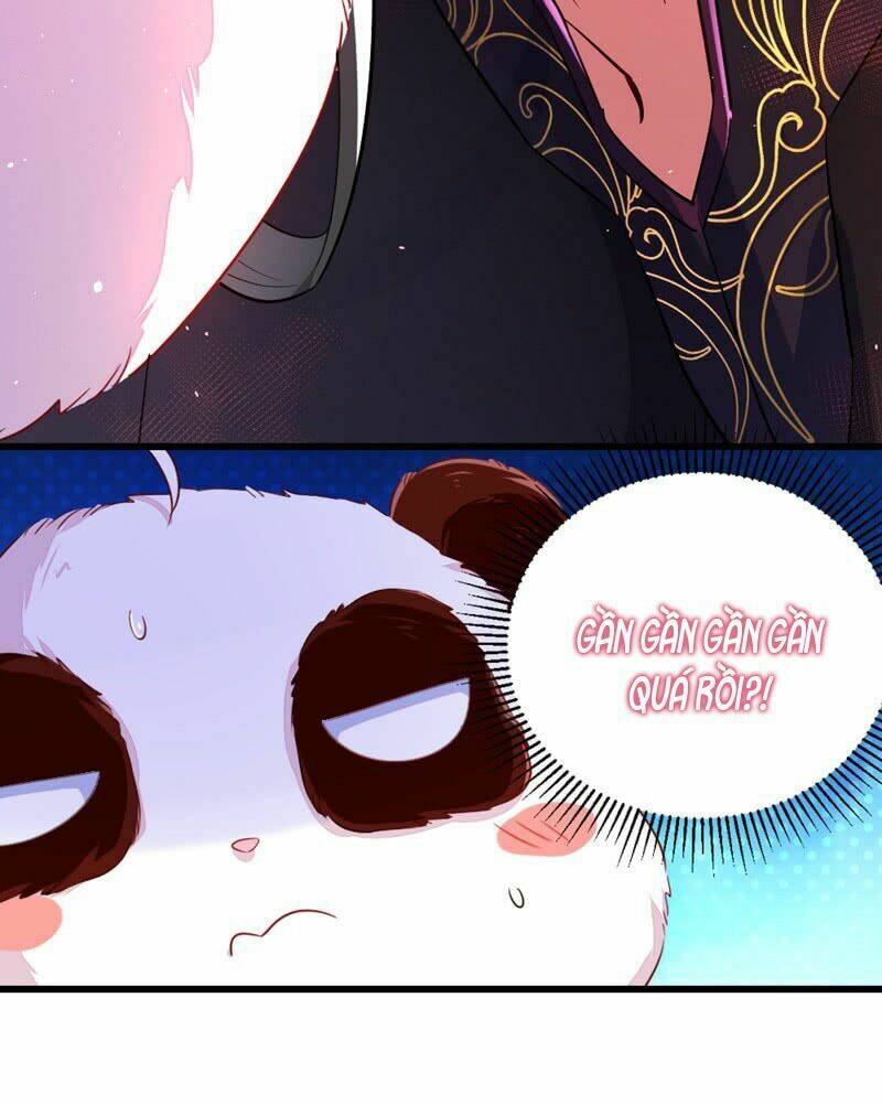 thiên thần gấu trúc muốn được ôm chapter 9 18