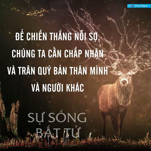 Sách - Sự Sống Bất Tử - First News