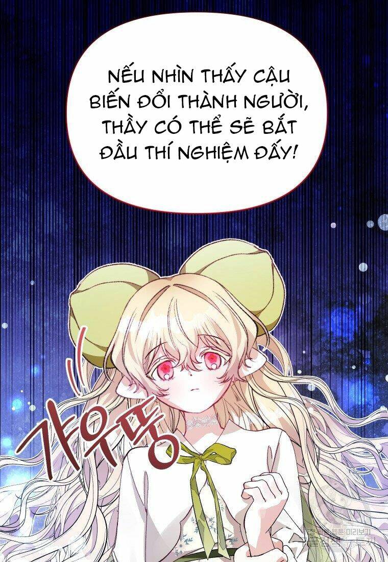 này tiểu công tước, hãy tin ở chị đi! chapter 23.1 18