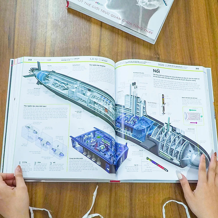 Tri Thức Về Vạn Vật - Một Thế Giới Trực Quan Chưa Từng Thấy - ALP