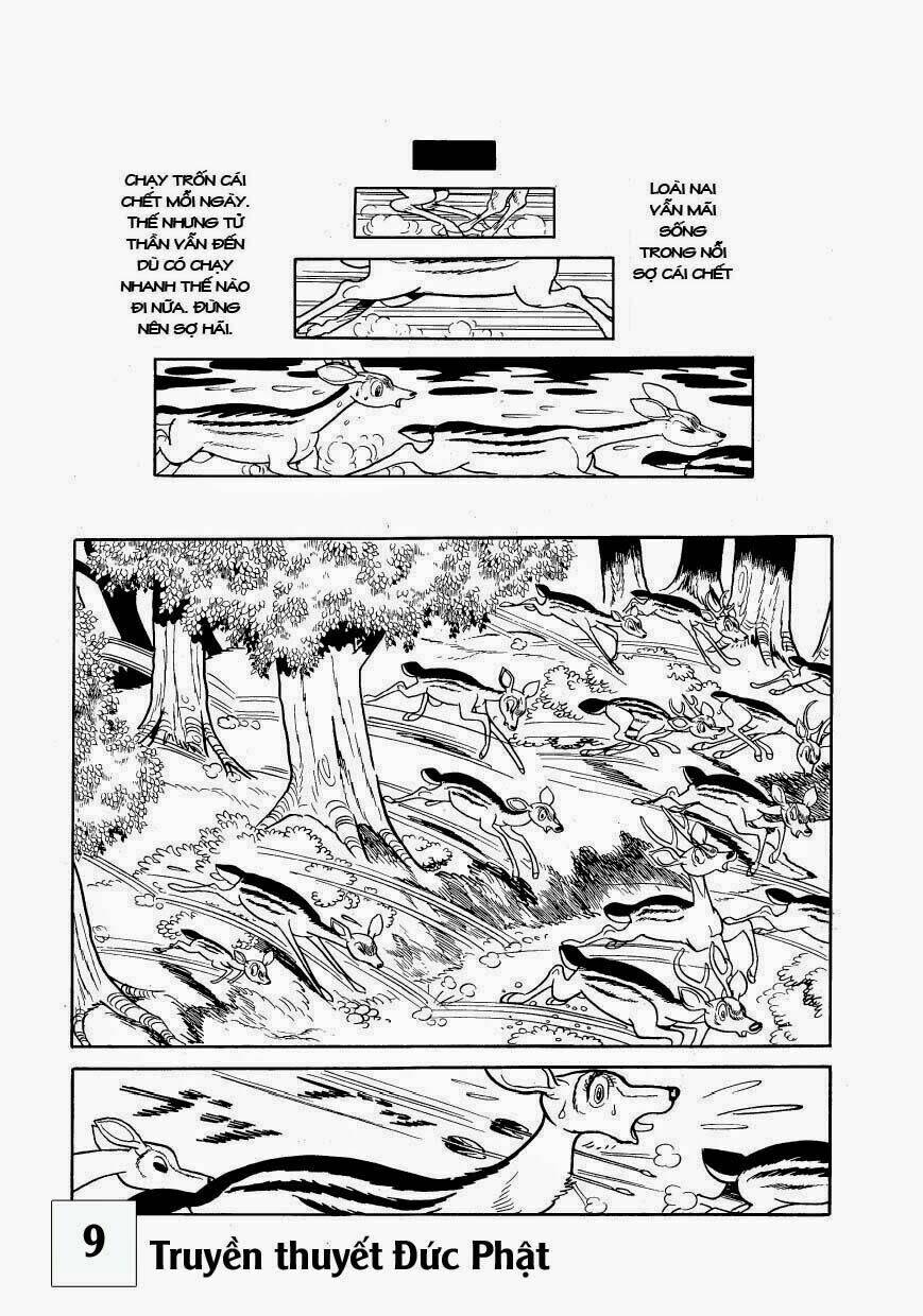 buddha - truyền thuyết đức phật chapter 40 24