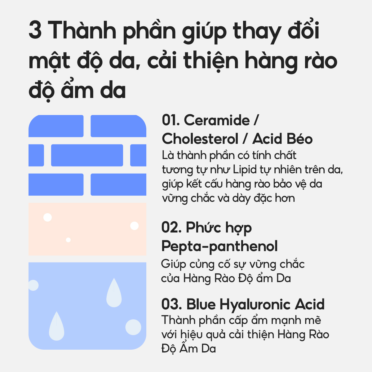 Kem Dưỡng Ẩm Dành Cho Da Thường Và Da Khô Laneige Water Bank Blue HA Cream Dry 50ml