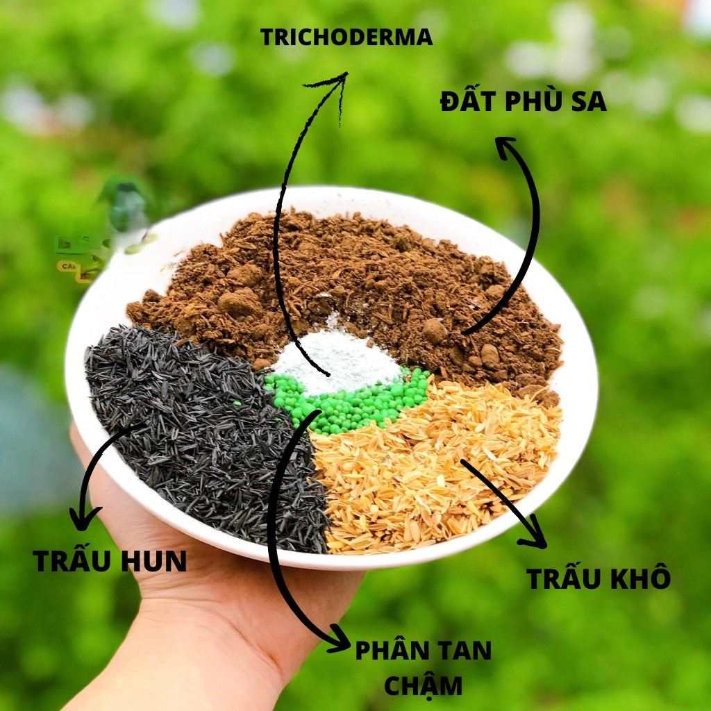 Đất trồng cây cảnh , chuyên dụng cho cây xanh lá , khoẻ mạnh , tươi tốt khối lượng 1kg