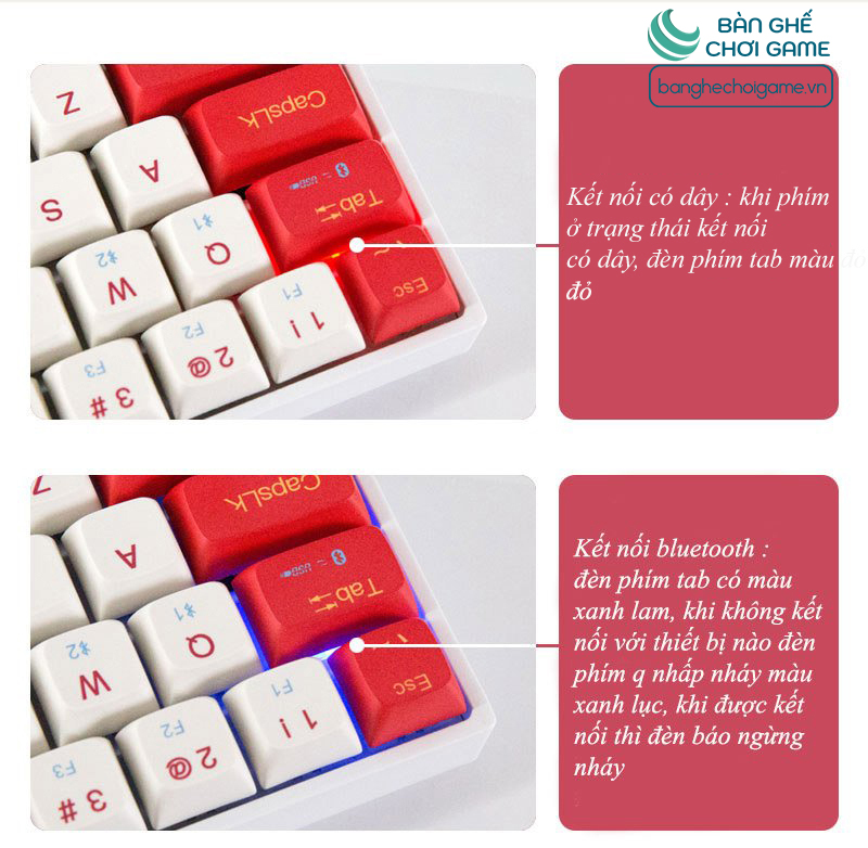 Bàn phím cơ không dây Bluetooth Newmen GM680 Jungle Hot Swap Outemu Switch - Hàng chính hãng