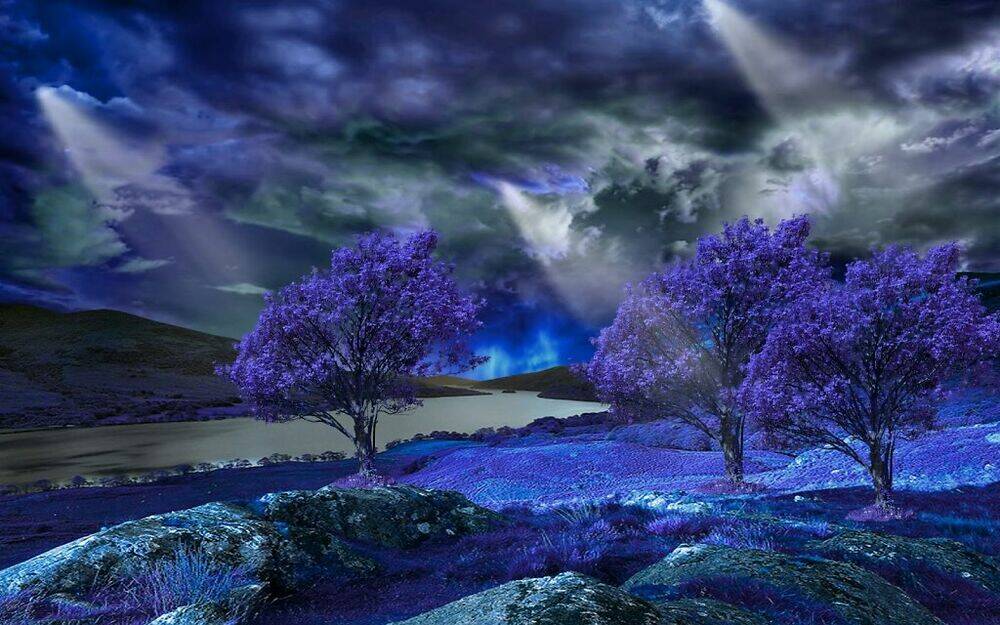 album natural wallpapers chapter 40 23