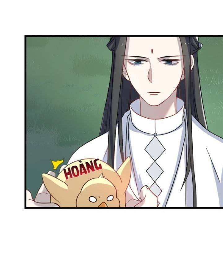 độc bộ thiên hạ: đặc công thần y chapter 162 31