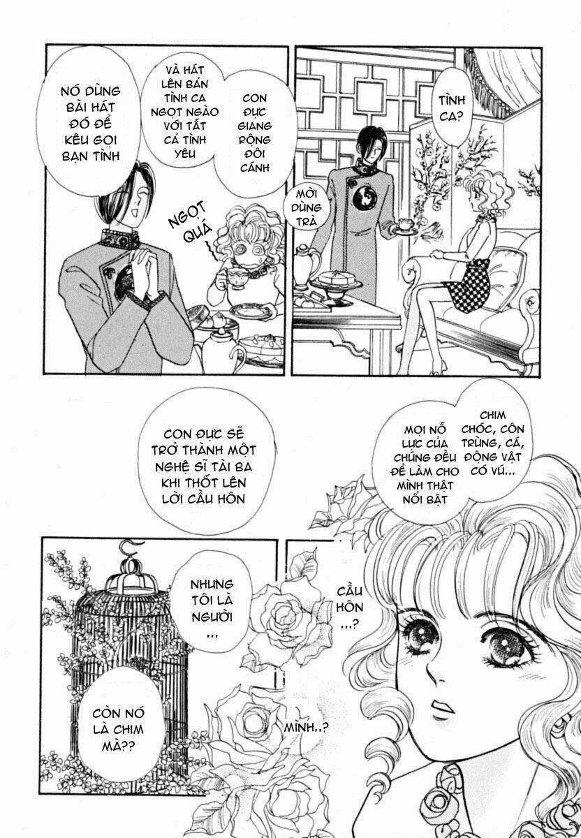 petshop of horrors chapter 1 28