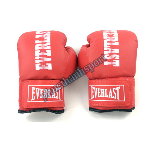 Găng đấm boxing Everlast 8oz