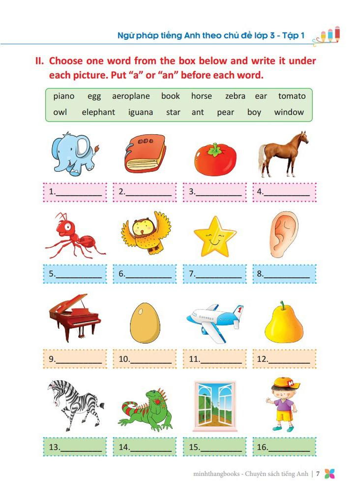 Primary Grammar - Ngữ Pháp Tiếng Anh Theo Chủ Đề Lớp 3 - Tập 1 (Tái Bản 2024)