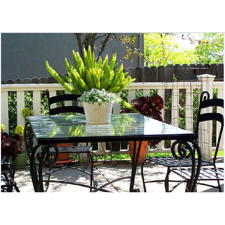 Hạt giống cây Tùng Đuôi Chồn _Trúc Thiên Môn-gói 5 hạt