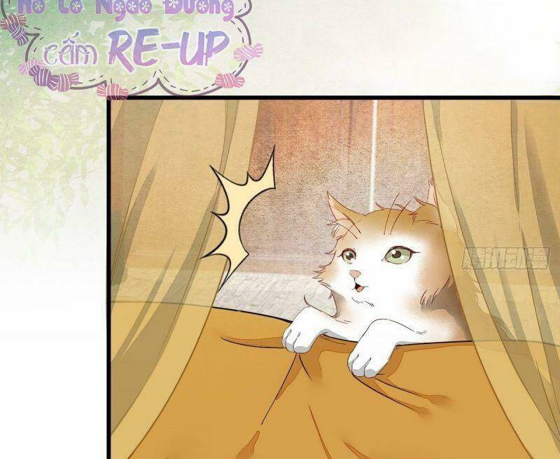 sát thủ vương phi không dễ chọc chapter 32 56