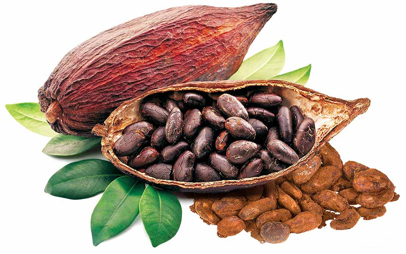 Bột cacao hữu cơ nguyên chất - tách béo (Kaoka