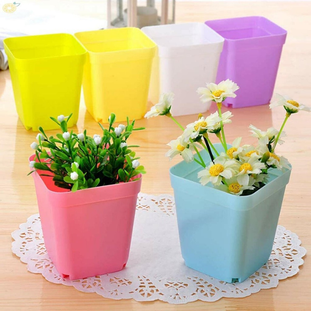 Chậu hoa đế vuông mini mix nhiều màu