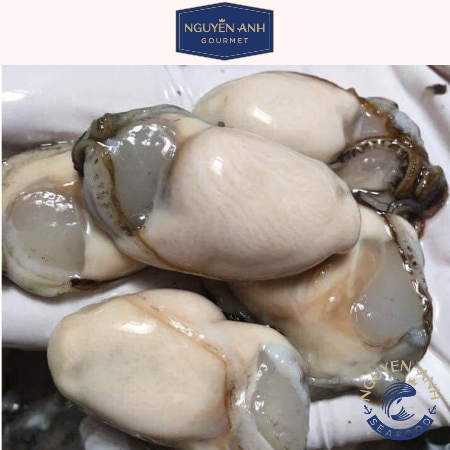 Hàu sữa tách vỏ Nguyên Anh 500G