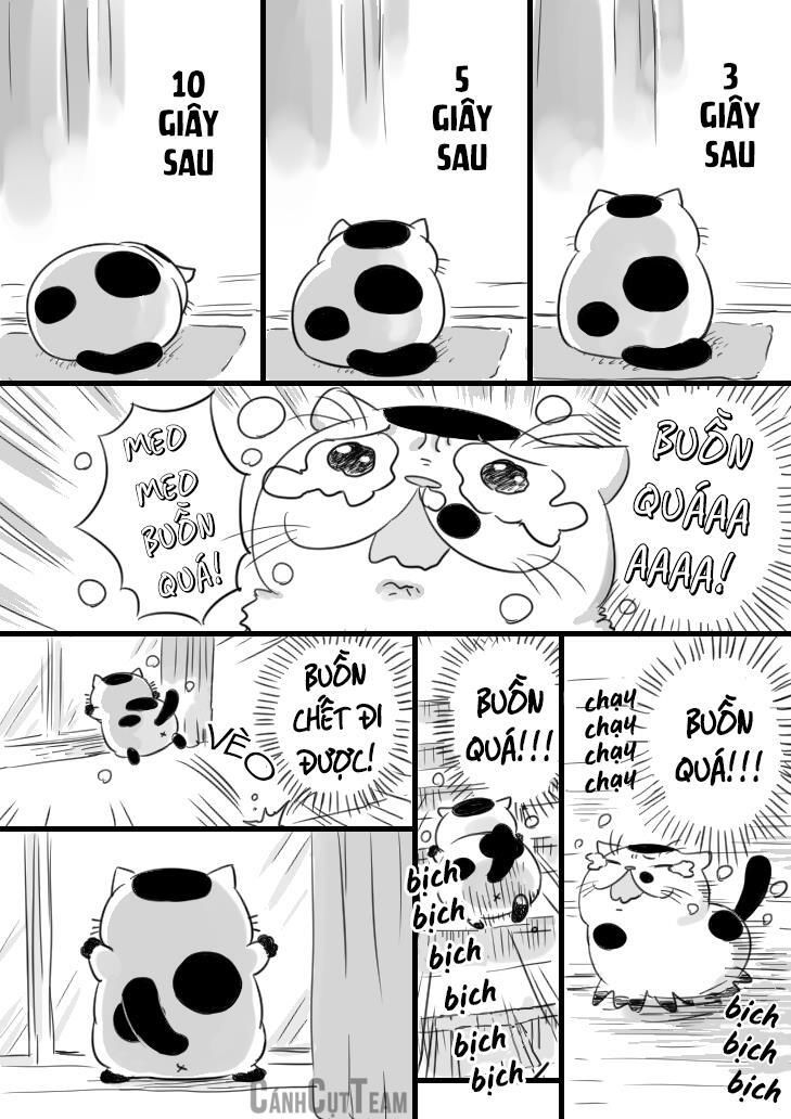 ông chú và con mèo mặt bựa chapter 11.1 3
