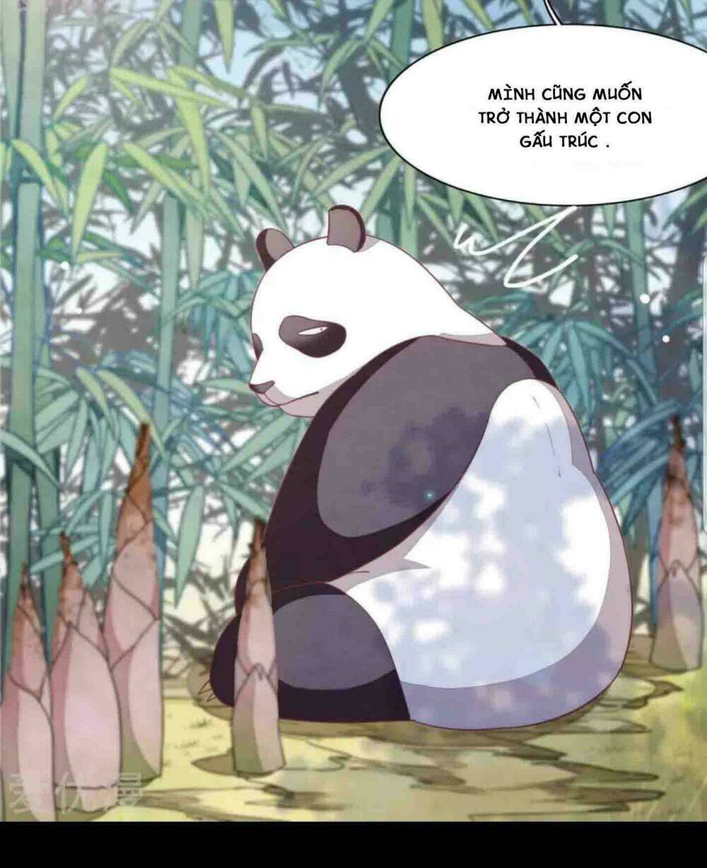 xuyên về cổ đại làm quốc bảo chapter 3 7