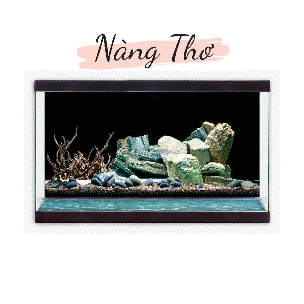 DECAL 3D DÁN HỒ CÁ_TRANH 3D HỒ CÁ_DECAL VIP