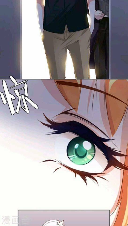 người vợ bí ẩn của tổng tài chapter 14 34