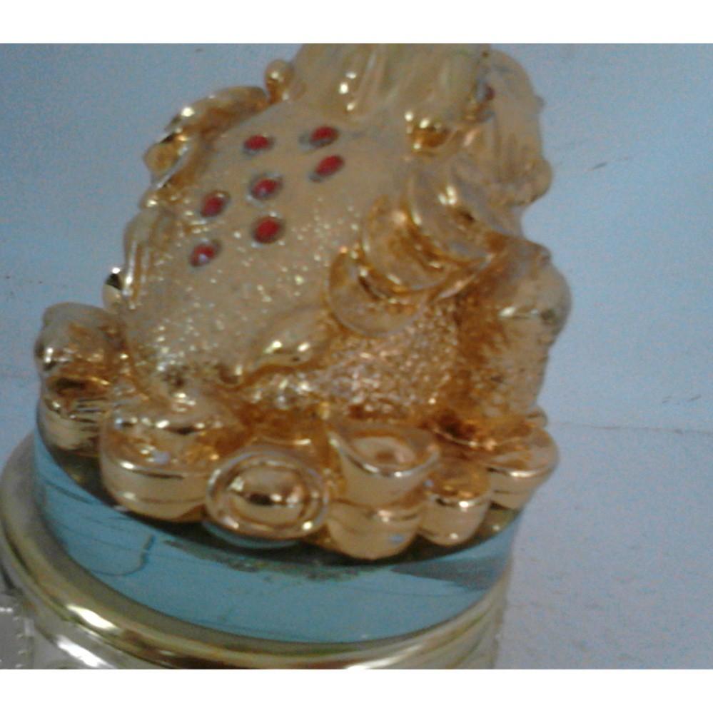 Cóc phong thủy, tài lộc, vàng